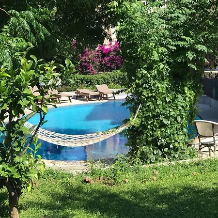 Sophia Vilă